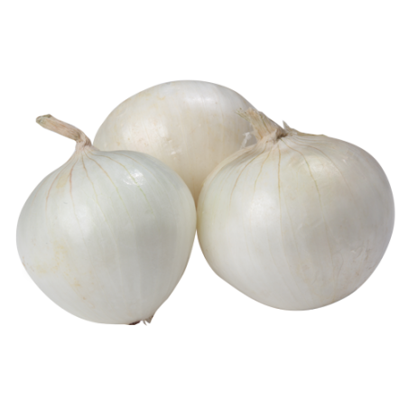Cebolla Blanca