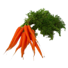 Zanahoria De Manojo (Manojo)