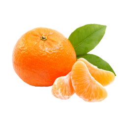 Mandarina Ecológica(Kg)