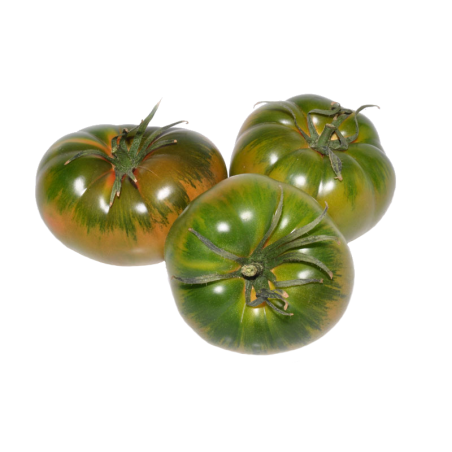 Tomate Raff Super Oferta